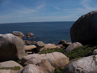 Isla Seca (frente a Cerro Buenavista, Área protegida Cabo Polonio).JPG