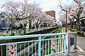 Kanda-river Takaido