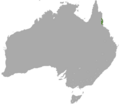 Lumholtz's Tree Kangaroo area