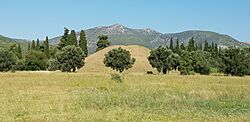 Archivo:Maraton Grecia