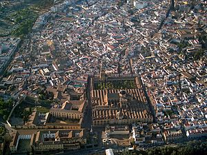 Archivo:Mezquita Córdoba foto aérea