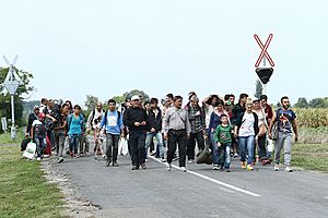 Archivo:Migrants in Hungary 2015 Aug 007