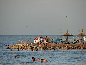 Archivo:Miramar playa