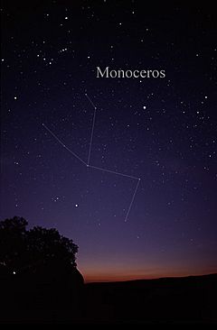 Archivo:MonocerosCC
