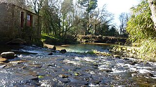 Muiño das Aceñas, río Tamuxe 2