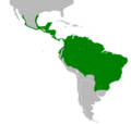 Nyctidromus albicollis map