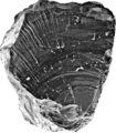 Obsidiana lasca