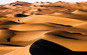Archivo:Omandesert