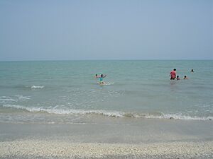 Archivo:Playa Norte