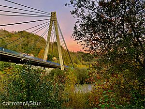 Archivo:Puente Langreo Nalón carreterAStur