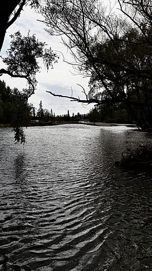 Archivo:Río Limay Neuquen