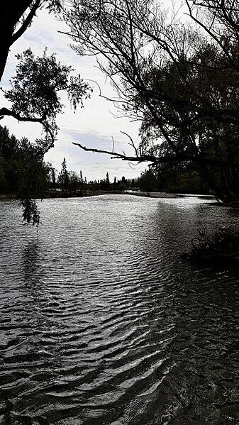 Río Limay Neuquen