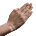 Rock-paper-scissors (paper)