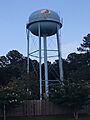 Ross Barnett Reservoir water tower