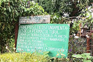 Archivo:SB056 Permaculture Cuba 1