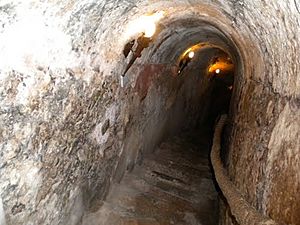 Archivo:Staircase to an underground Aranda de Duero Wine Cave in Spain