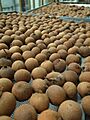 Sun drying longan berries in the factory