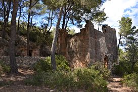 Torre Forta de Santa Cristina (La Bisbal del Penedès).jpg