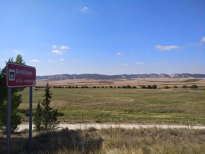 Archivo:Villa romana de Arellano (Navarra)