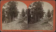 Wine Celler, Pleasant Valley, N.Y, from Robert N. Dennis collection of stereoscopic views.jpg