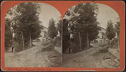 Wine Celler, Pleasant Valley, N.Y, from Robert N. Dennis collection of stereoscopic views.jpg