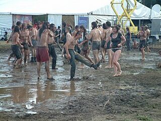 Woodstock01.jpg