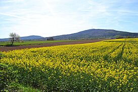 2012 04 27,Ślęża i Radunia, widok z drogi między Przezdrowicami a Księginicami - panoramio.jpg