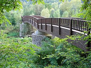 Archivo:65 Passarel·la sobre el Fluvià (Castellfollit de la Roca)