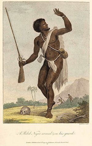 Archivo:A Rebel Negro armed and on his guard, (Francesco Bartolozzi, 1796)