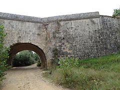 Acueducto de Abánades. Canal de Castilla (2)
