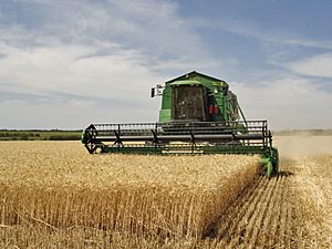 Archivo:Agriculture in Volgograd Oblast 002