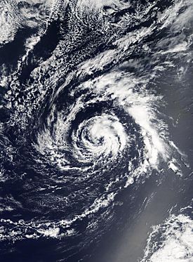 Ana - Apr 21, 2003.jpg