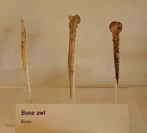 Archivo:Ancestral Puebloan bone awls by RO