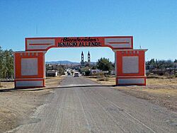 Bienvenidos Allende.jpg