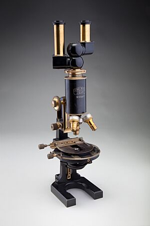 Archivo:Binocular compound microscope, Carl Zeiss Jena, 1914 (6779276516)