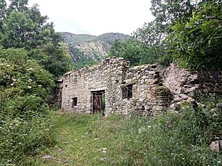 Bordes d'Àrreu 2.jpg