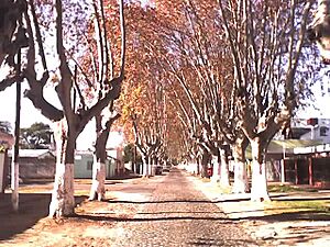 Archivo:Calle San José Merlo