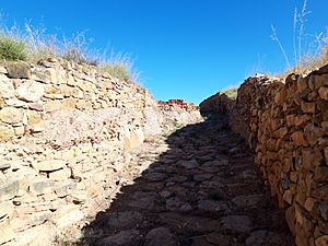 Archivo:Carrera central El Palomar