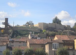 Castillo Miranda Ebro.JPG