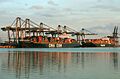 Container traffic (2107826811)