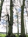 Englebelmer calvaire 2
