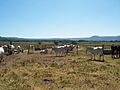Estancia Paraíso - Pirayu