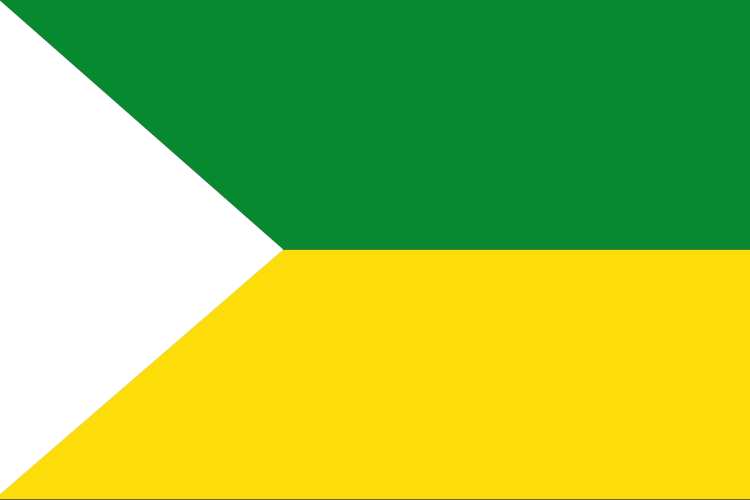 Flag of San Vicente (Antioquia)