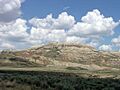 FossilButte