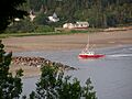 Fundy National Park of Canada 2
