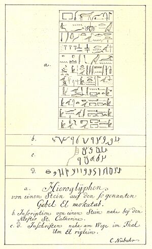 Archivo:Hieroglyphs by Niebuhr
