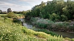 IMG 20180428 092944397 HDR.jpg