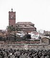 Iglesia y vides de El Toboso RED