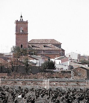 Archivo:Iglesia y vides de El Toboso RED