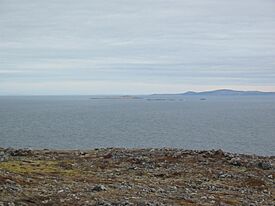 Ile Vert Newfoundland in Background.JPG